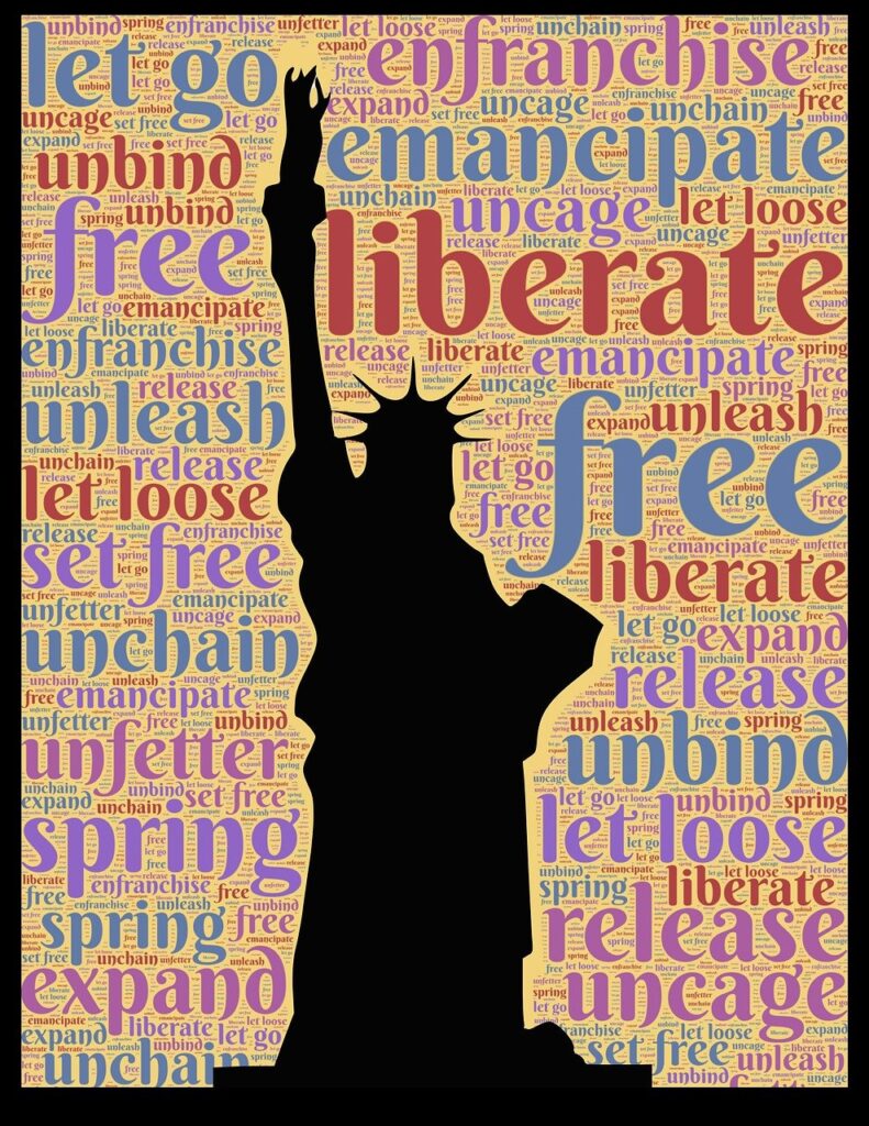 statue of liberty, liberty, liberate-568688.jpg